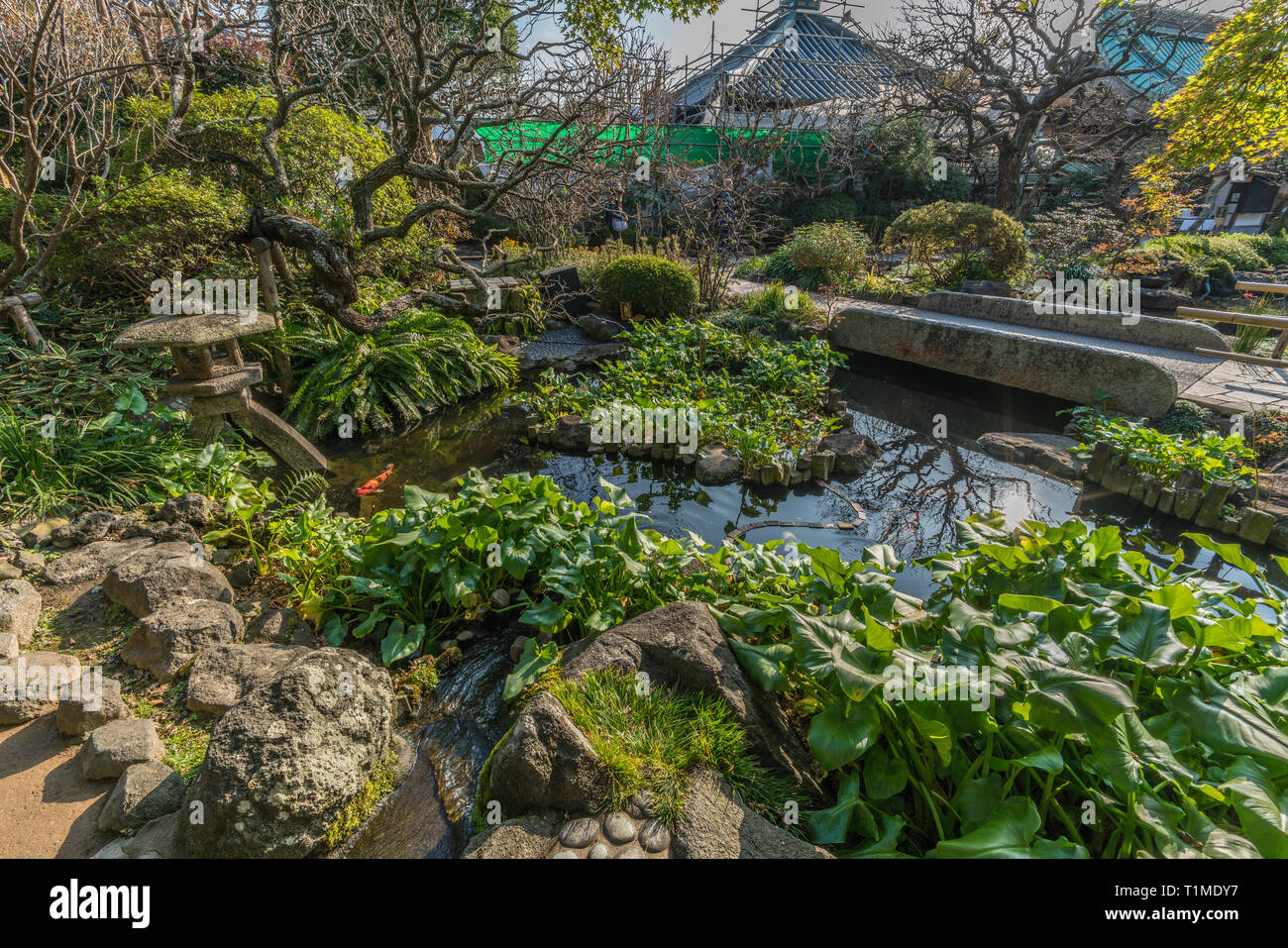 Giardino e stagno a Hasedera tempio complesso (Kaiko-zan Jisho-in Hase-dera) noto anche come Hase-Kannon. Situato a Kamakura, nella prefettura di Kanagawa, Giappone Foto Stock