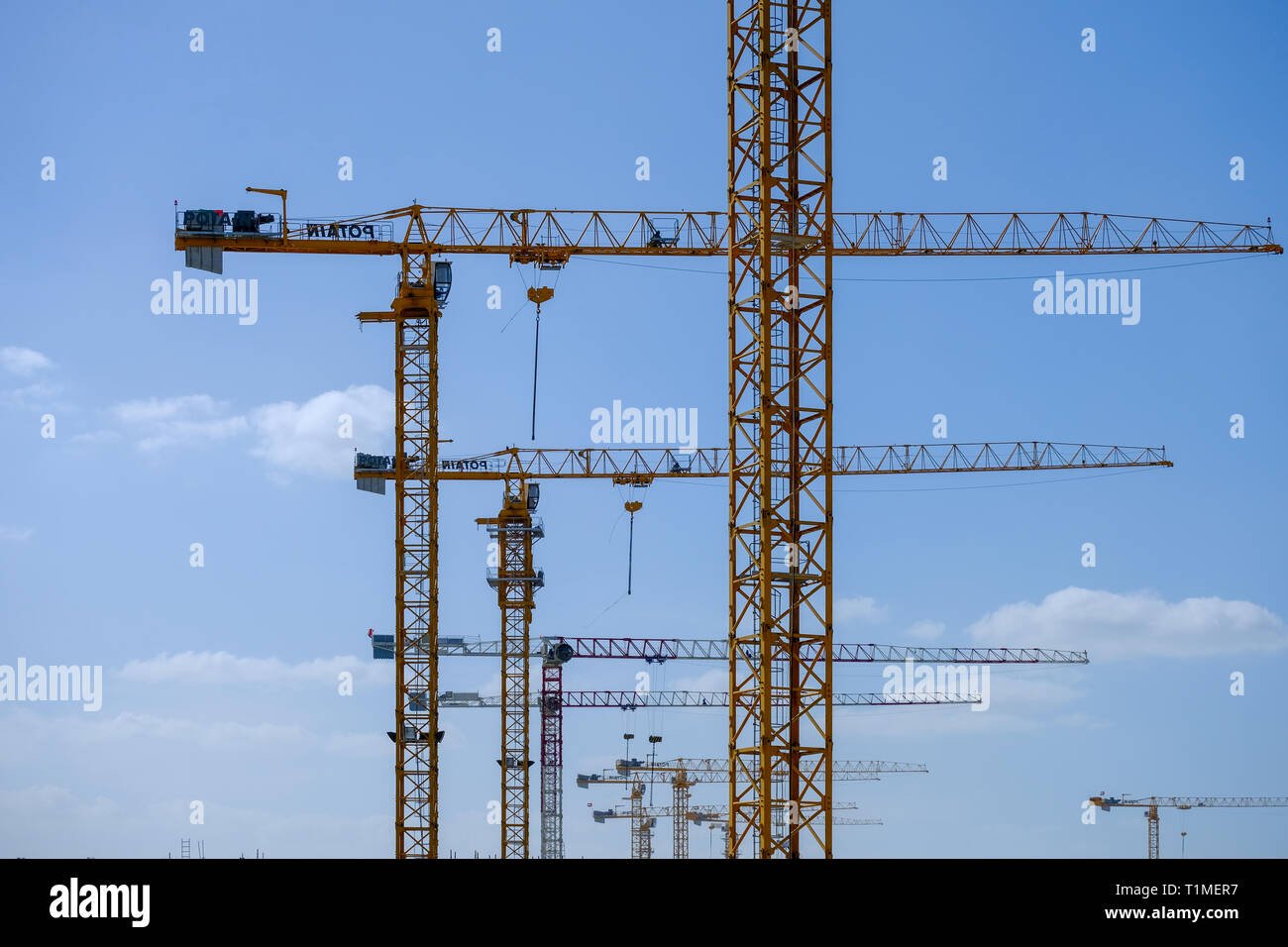 Fila di gru a torre al sito in costruzione Foto Stock