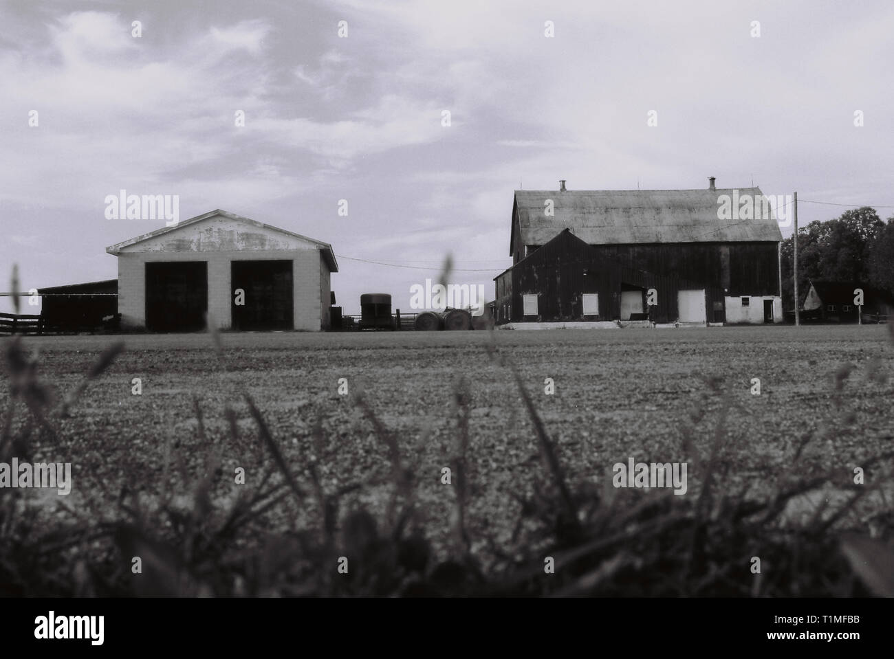Fienile in Elginburg, Ontario, Canada - sottoposti a scansione di elevata qualità - negativo 35 mm - Foto scattata nel 2002 Foto Stock