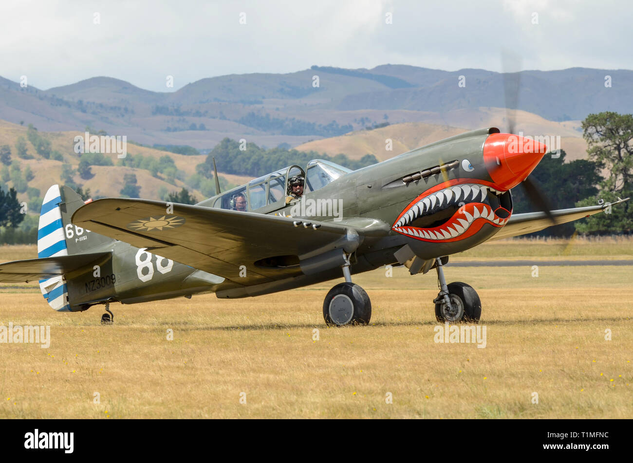 Curtiss P-40 Warhawk seconda guerra mondiale aereo da combattimento con bocca di squalo in rullaggio a cofano Aerodrome, Masterton, Nuova Zelanda. Pilota Goldspink Stu Foto Stock