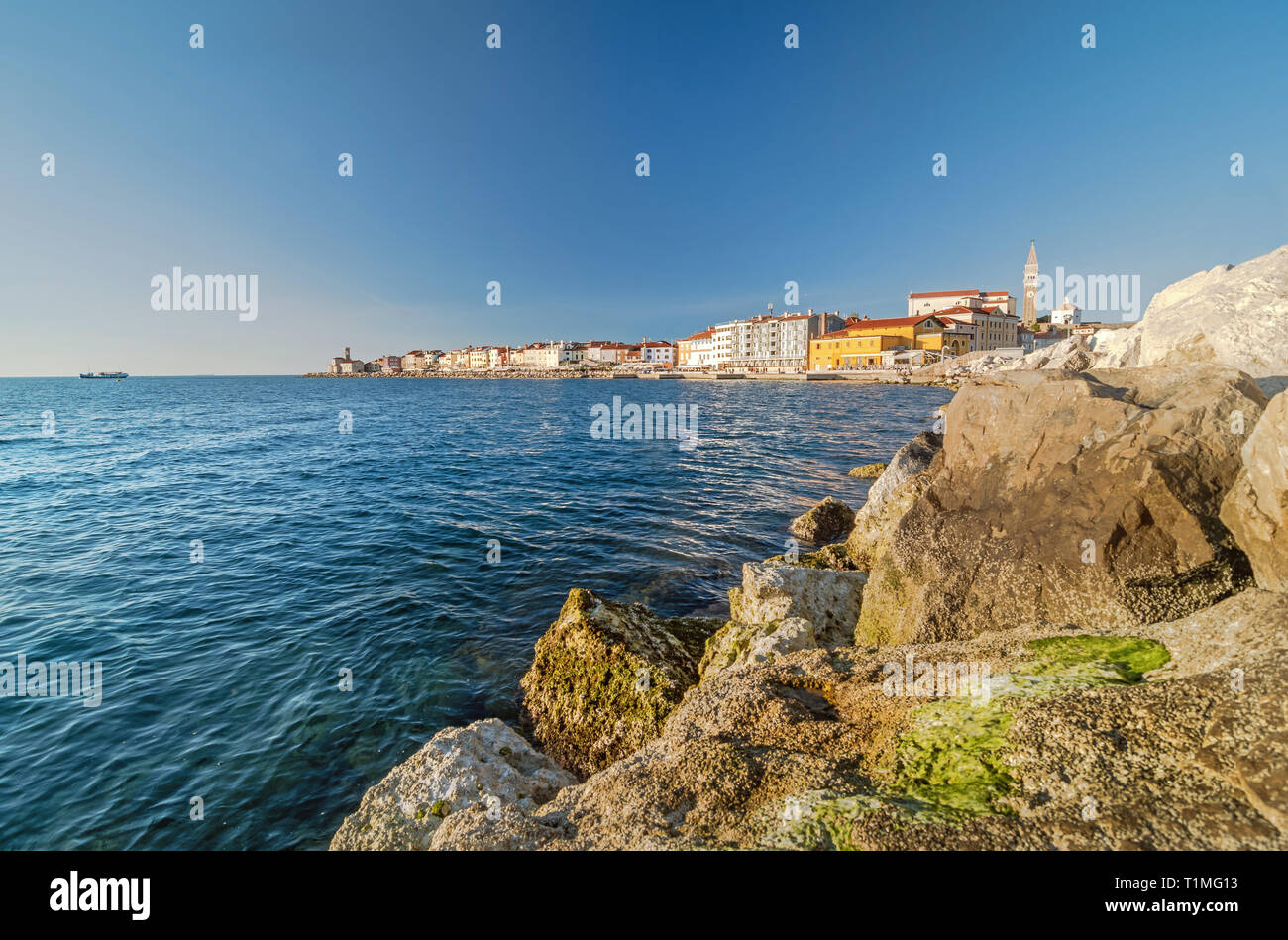 Vista della vecchia città costiera di Pirano e mare adriatico, Slovenia Foto Stock