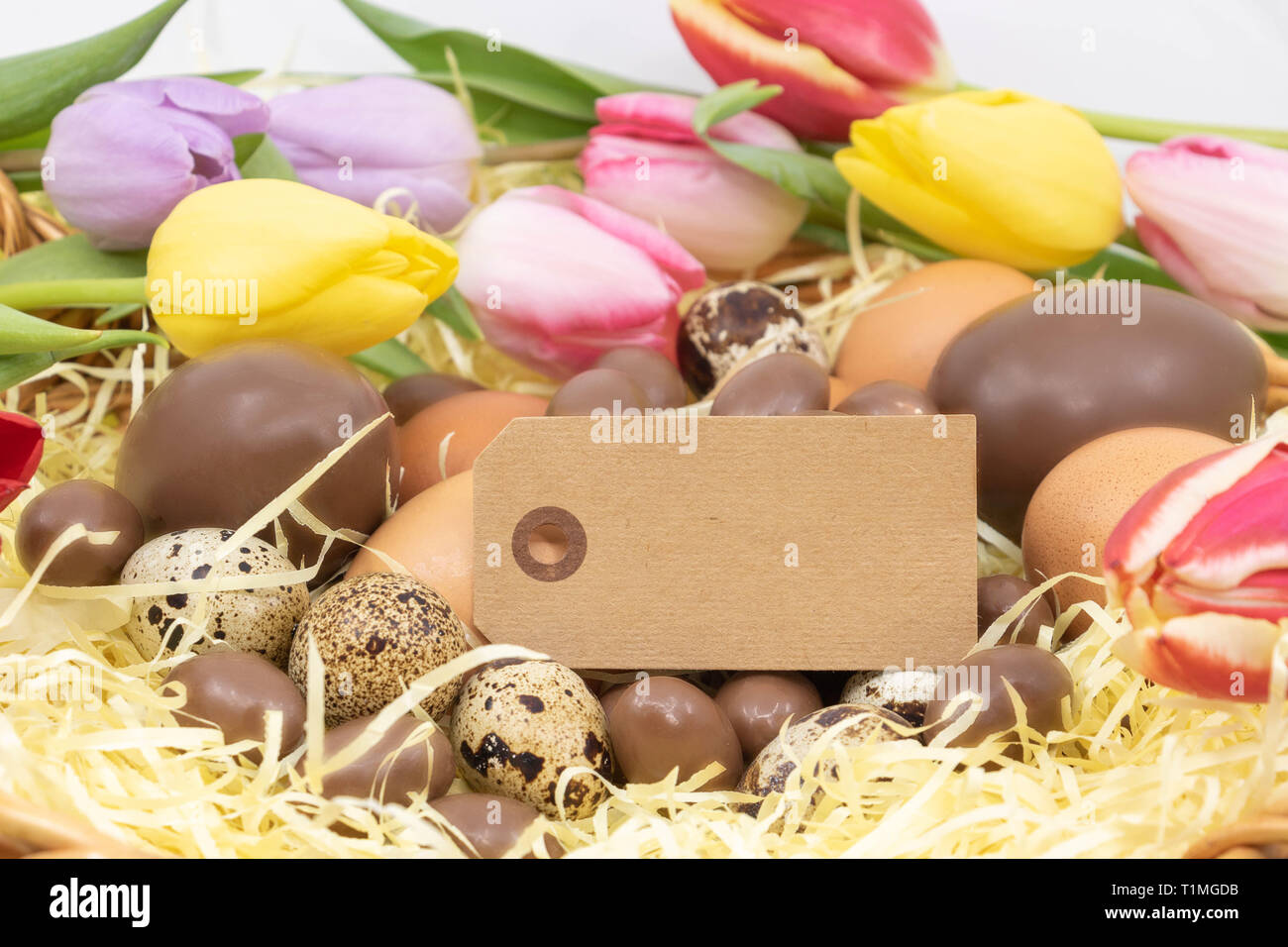 Il ritorno della ricerca delle uova di Pasqua e l'arrivo della primavera. Etichetta per risorse grafiche e di testo Foto Stock