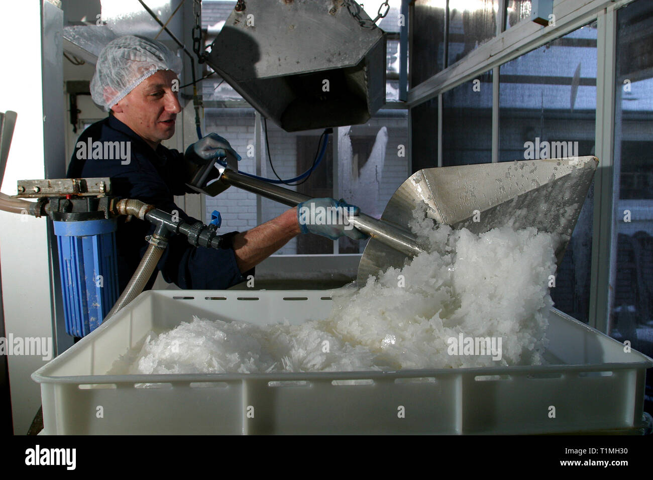 Un lavoratore sale di raccolta da una delle saline utilizzato per raccogliere l'acqua di mare presso la Anglesey Sea Salt Company a Brynsiencyn. L'acqua contiene normalmente tre per cento sale ma una volta che è distillato e riscaldata questo sorge a circa 15 per cento. La pala di lavoratori di depositi di sale nei vassoi prima di lavaggio e di asciugatura. È dalle acque dell'Oceano Atlantico che circonda l'isola che la Anglesey Sea Salt Company scarichi acqua di mare per rendere le sue sale di mare prodotti. Foto Stock Un lavoratore sale di raccolta da una delle saline utilizzato per raccogliere l'acqua di mare presso la Anglesey Sea Salt Company a Brynsiencyn. L'acqua contiene normalmente tre per cento sale ma una volta che è distillato e riscaldata questo sorge a circa 15 per cento. La pala di lavoratori di depositi di sale nei vassoi prima di lavaggio e di asciugatura. È dalle acque dell'Oceano Atlantico che circonda l'isola che la Anglesey Sea Salt Company scarichi acqua di mare per rendere le sue sale di mare prodotti. Foto Stock