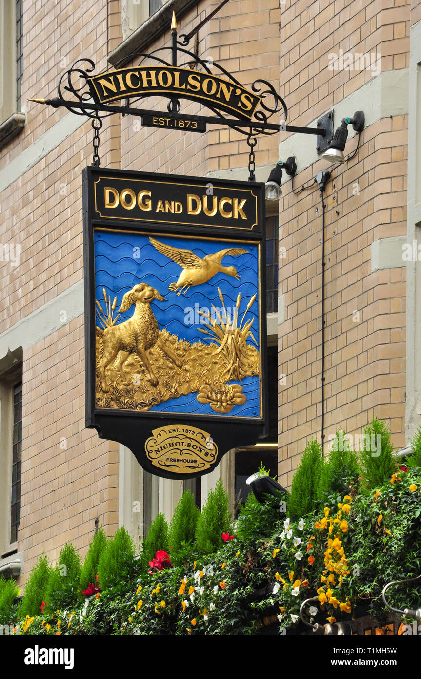 Cartello fuori il cane e anatra Public House, Bateman Street / Frith Street, Soho, London, England, Regno Unito Foto Stock