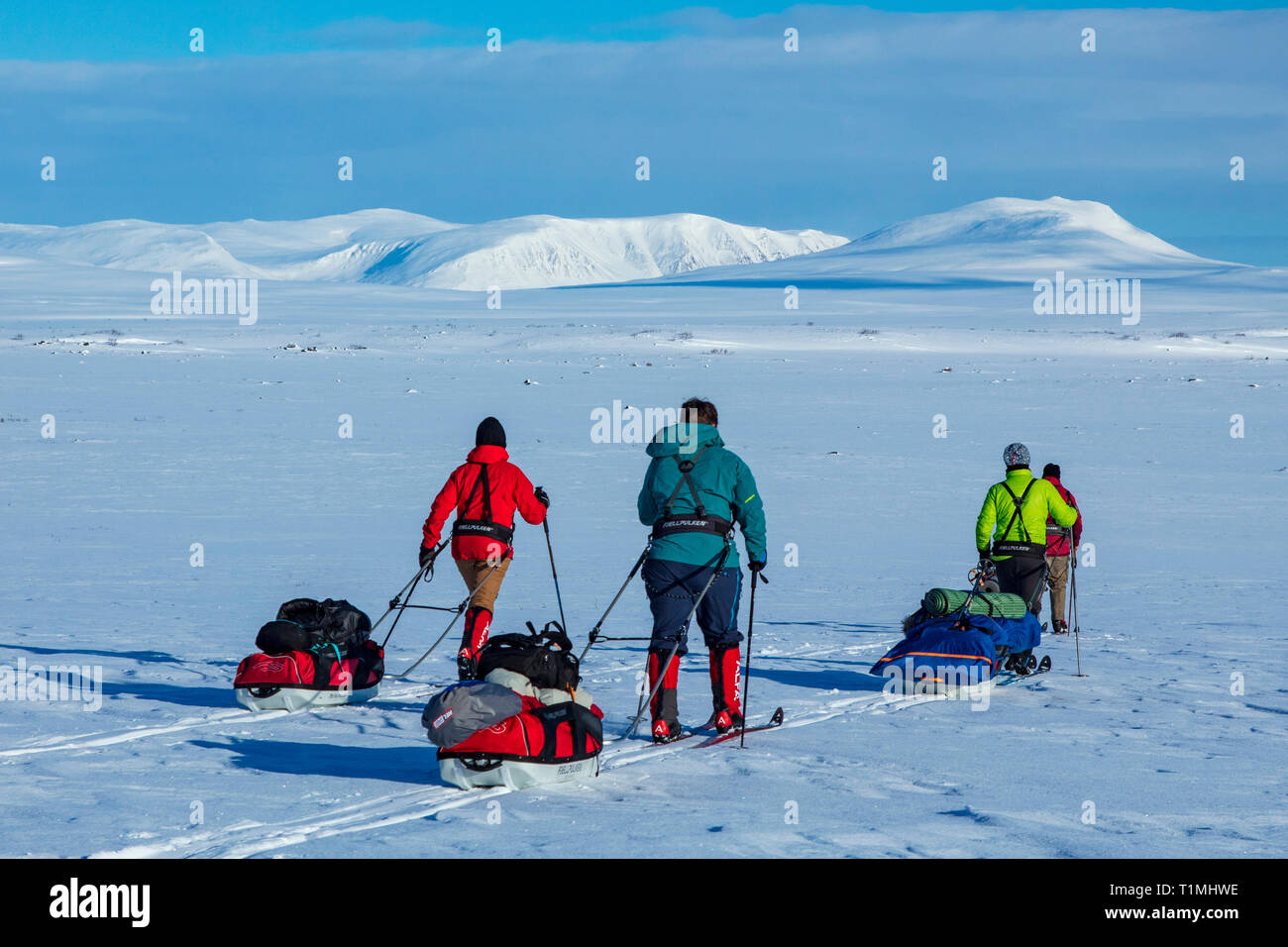 Cross country ski touring gruppo attraversando l altopiano Finnmarksvidda. Finnmark, Arctic Norvegia. Foto Stock