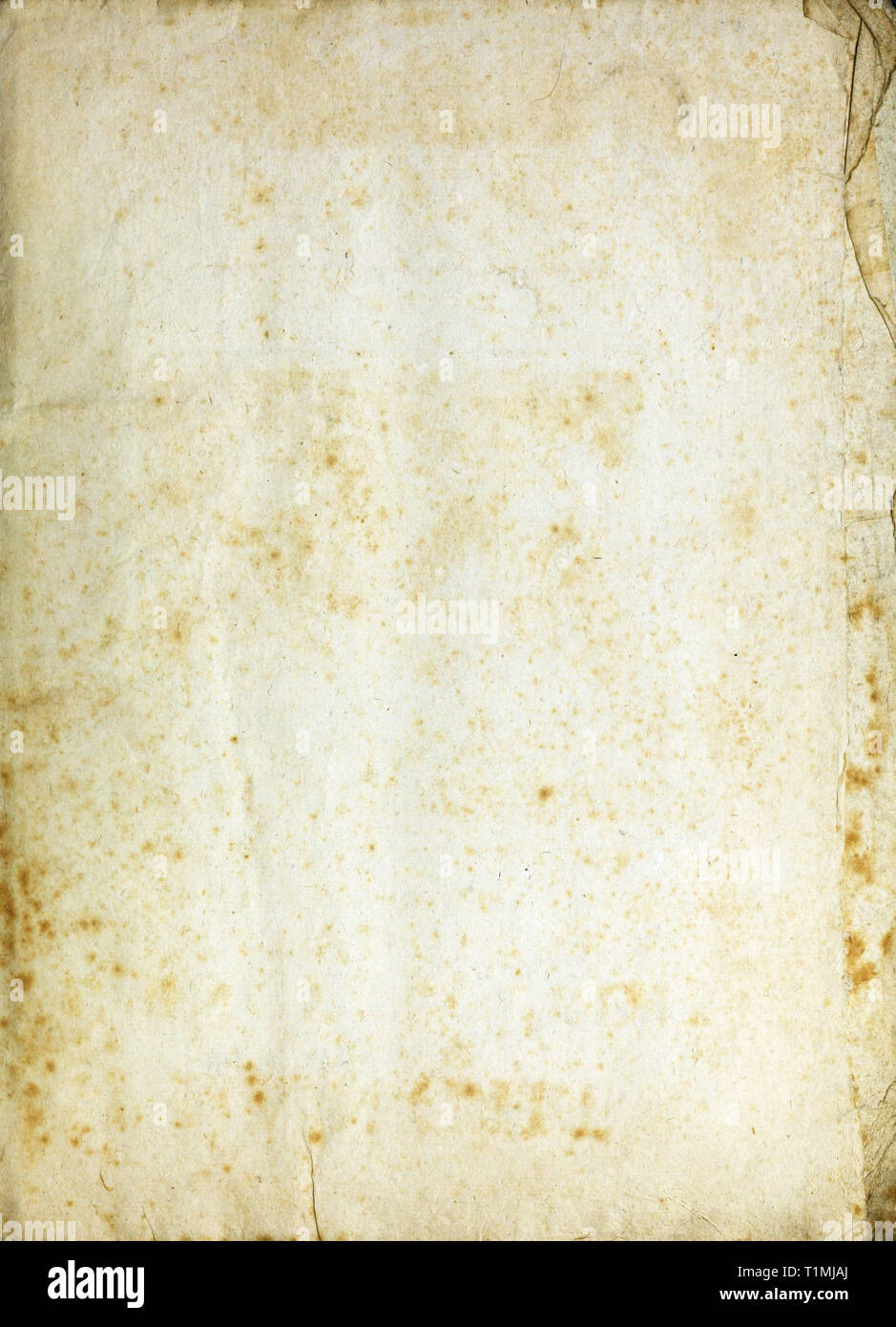 Foxed vecchio libro Leaf Foto Stock