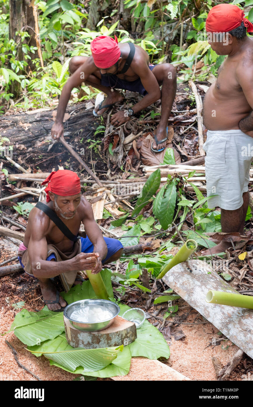 Alfur indigeni persone del gruppo Nuaulu facendo un tradizionale forno di terra, isola Seram, Molucche, Indonesia Foto Stock