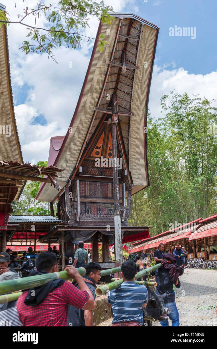 Una processione funebre e rituale, in un villaggio in Tana Toraja, Sulawesi, Indonesia Foto Stock