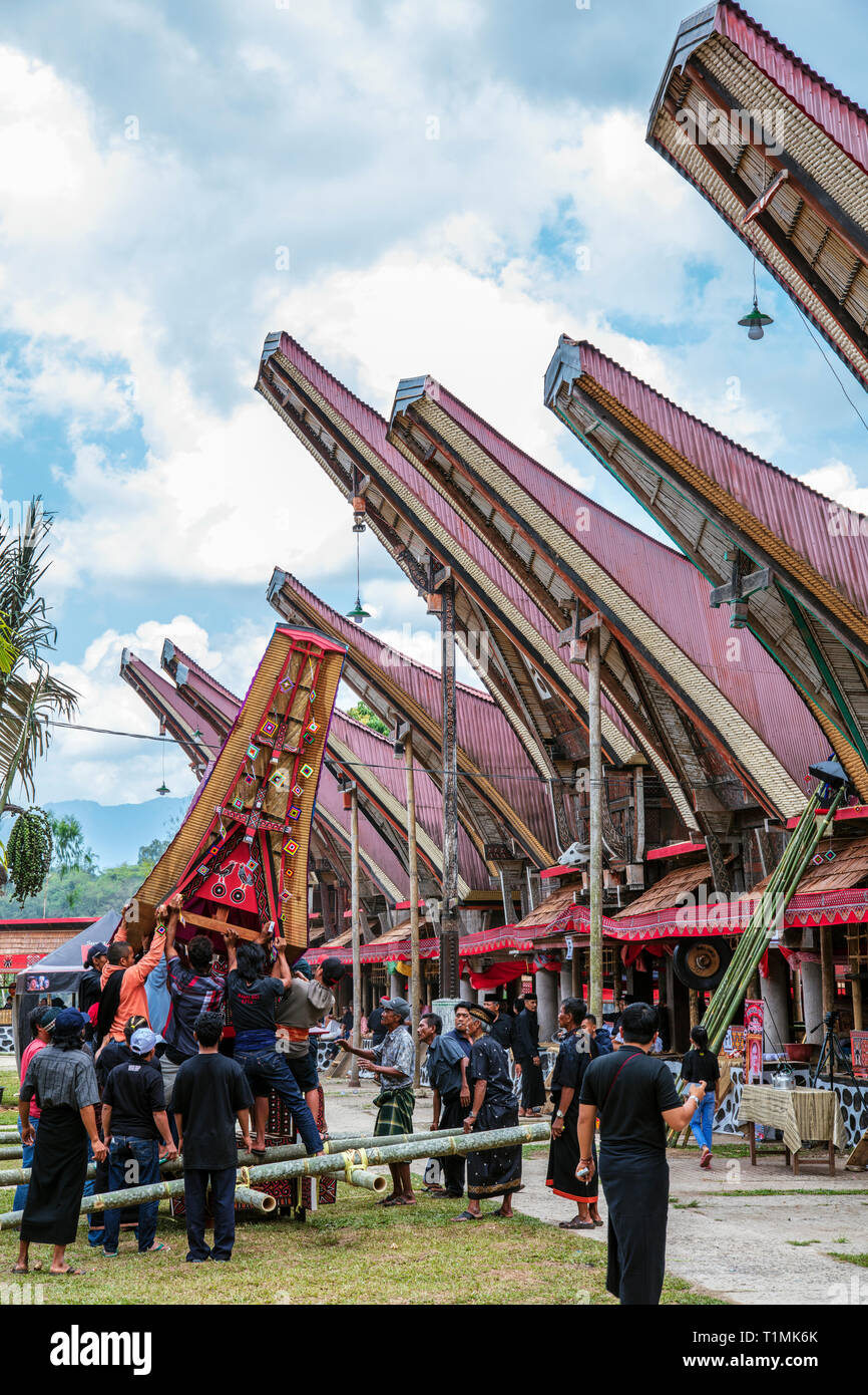 Una processione funebre e rituale, in un villaggio in Tana Toraja, Sulawesi, Indonesia Foto Stock