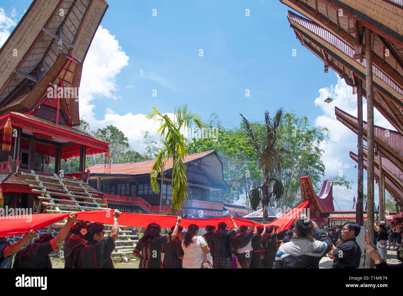 Una processione funebre e rituale, in un villaggio in Tana Toraja, Sulawesi, Indonesia Foto Stock