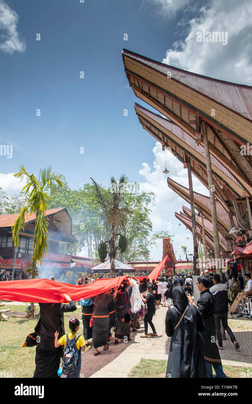 Una processione funebre e rituale, in un villaggio in Tana Toraja, Sulawesi, Indonesia Foto Stock