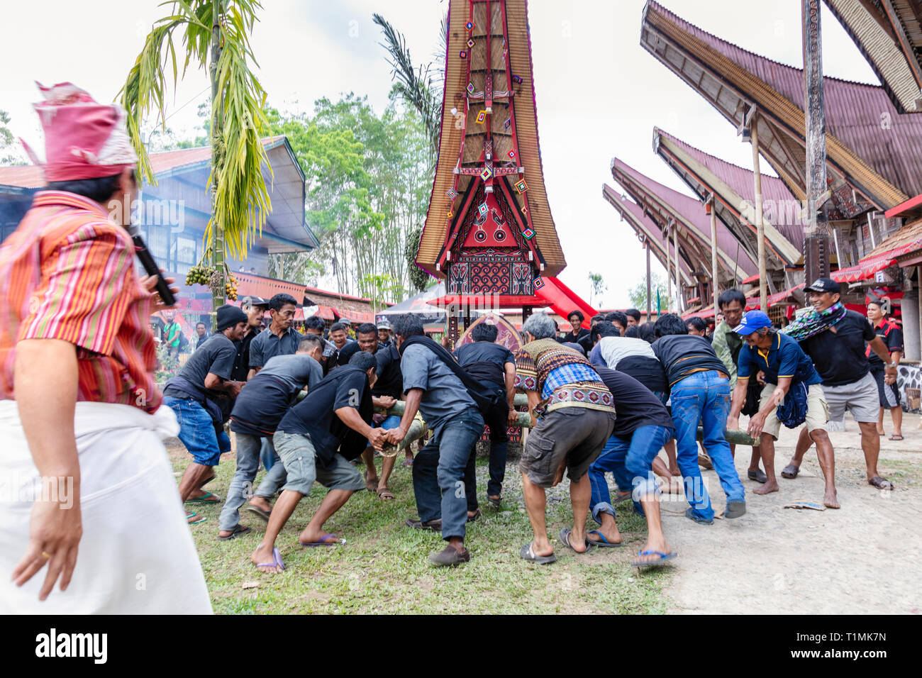 Una processione funebre e rituale, in un villaggio in Tana Toraja, Sulawesi, Indonesia Foto Stock