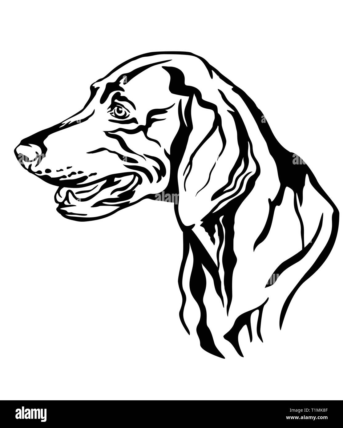 Profilo decorativo ritratto di cane Weimaraner cercando di profilo, illustrazione vettoriale in colore nero isolato su sfondo bianco. Immagine per progettare un Illustrazione Vettoriale