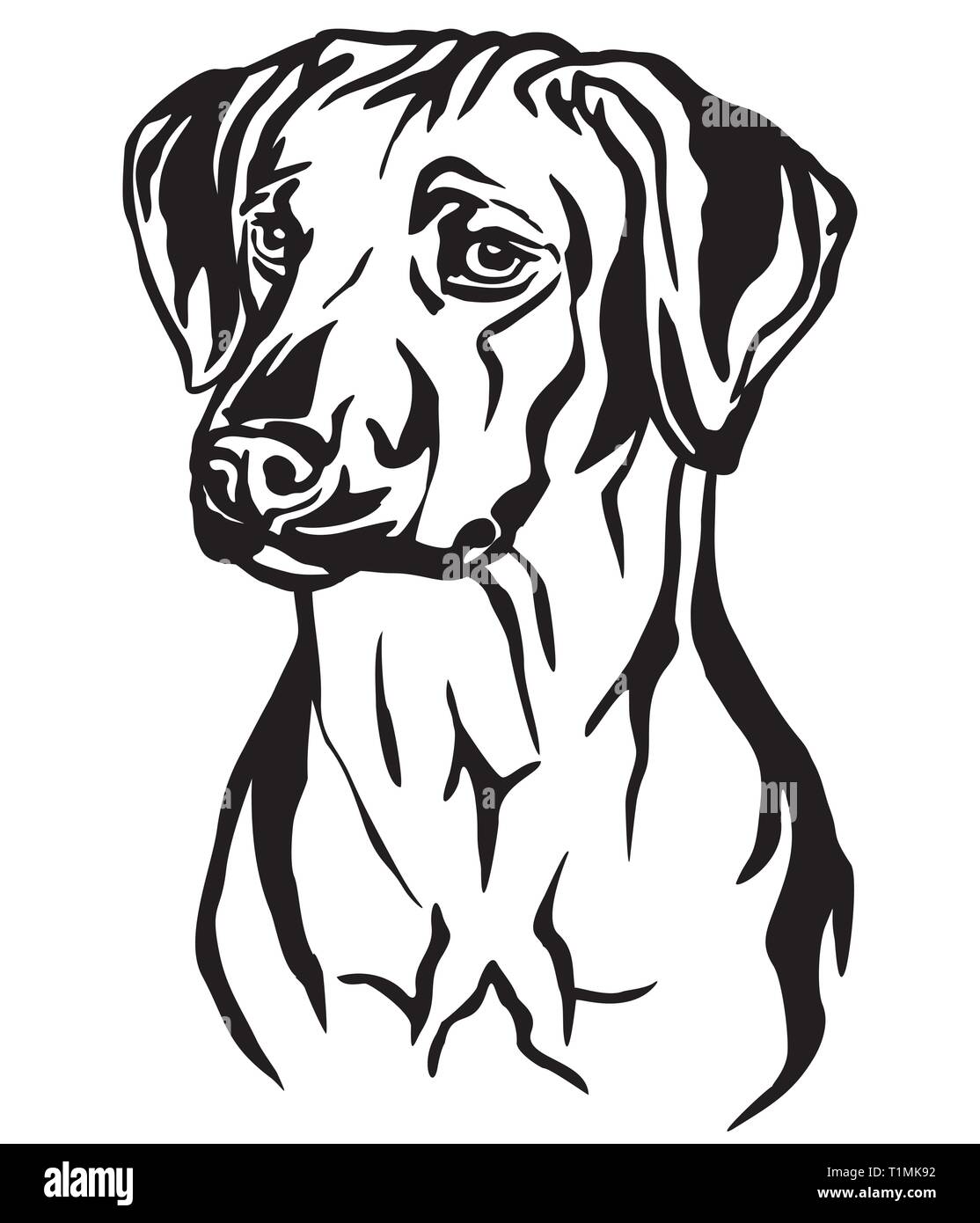 Profilo decorativo ritratto di Ridgeback rhodesiano cane cercando di profilo, illustrazione vettoriale in colore nero isolato su sfondo bianco. Immagine per Illustrazione Vettoriale