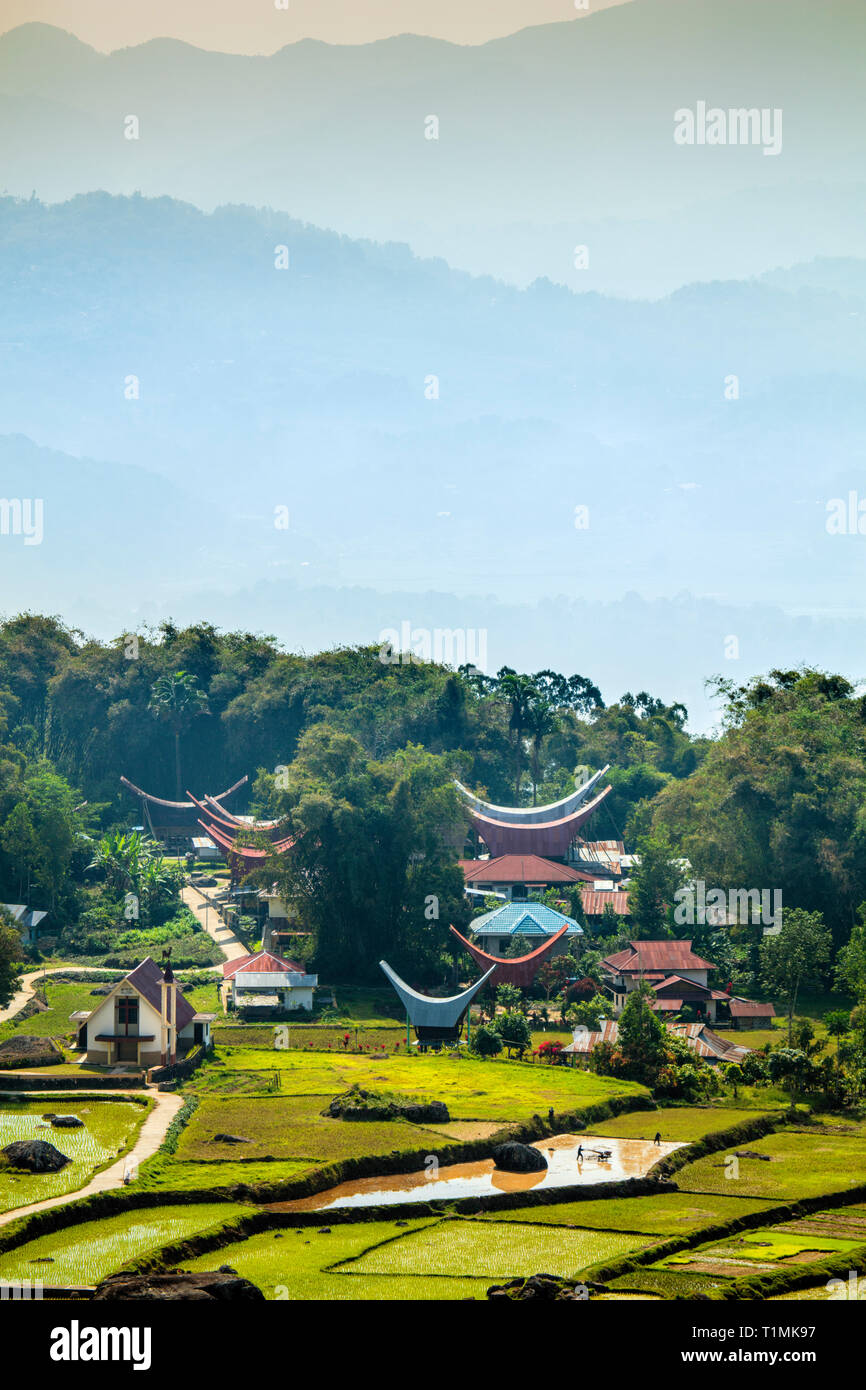 Un Torajan highland villaggio con case tradizionali impostato in campi di riso nel Sud di Sulawesi, Indonesia Foto Stock