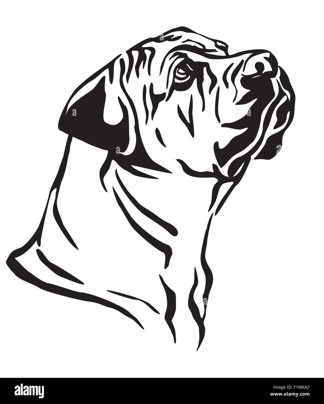 Profilo decorativo ritratto di cane Boerboel cercando di profilo, illustrazione vettoriale in colore nero isolato su sfondo bianco. Immagine per design e Illustrazione Vettoriale