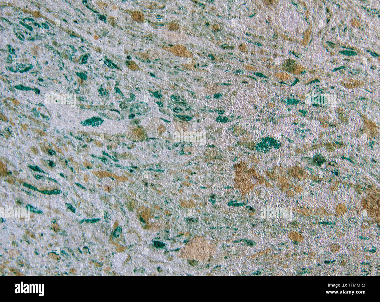 Abstract sfondo costituito dalla vernice. Close up Foto Stock Abstract sfondo costituito dalla vernice. Close up Foto Stock