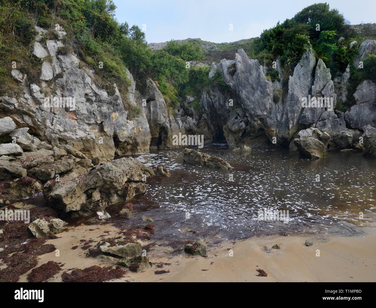 Spiaggia di Gulpiyuri, una spiaggia terrestre collegato alla costa 100m lontano dall'acqua di mare che fluisce attraverso i canali erosi in roccia calcarea, navate, Asturias, Spai Foto Stock