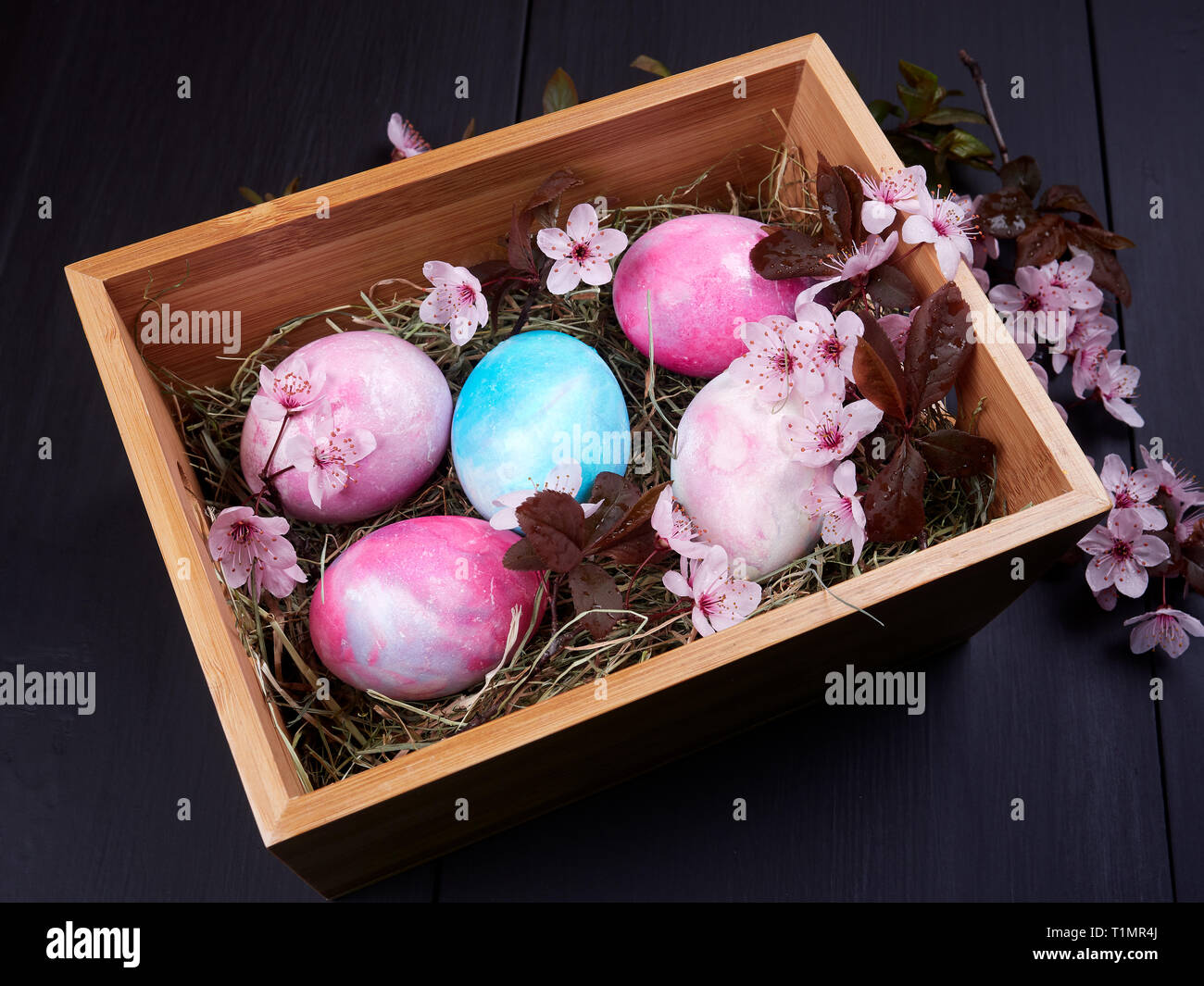 In marmo di uova di pasqua in una scatola di legno su un letto di fieno, con rami fioriti di foglia viola susino Foto Stock