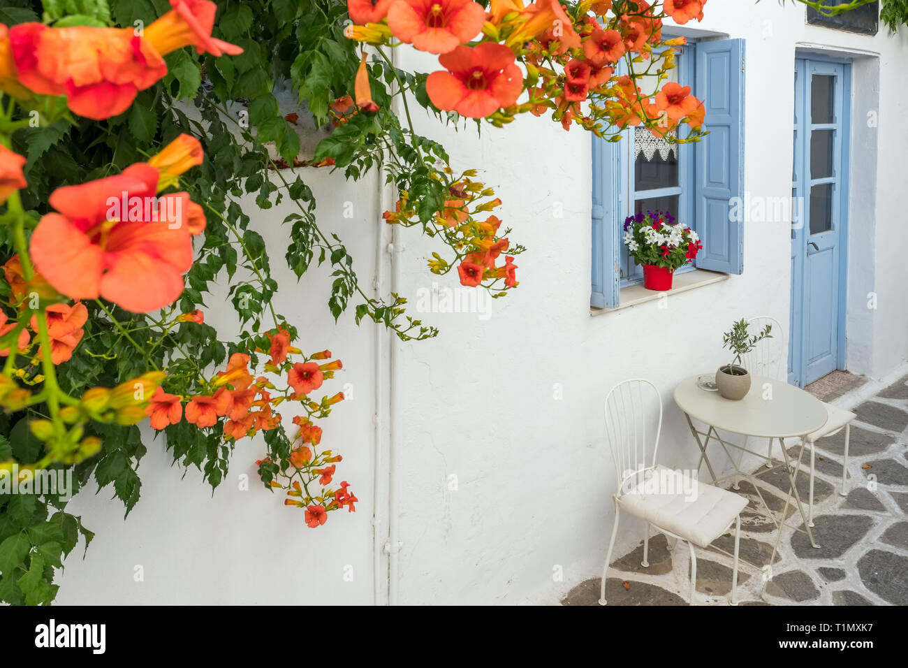 Vista di una stradina nel centro storico di Naoussa, isola di Paros, CICLADI Foto Stock