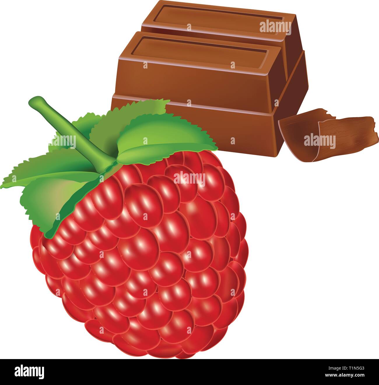 Lampone e cioccolato,vettore Illustrazione Vettoriale