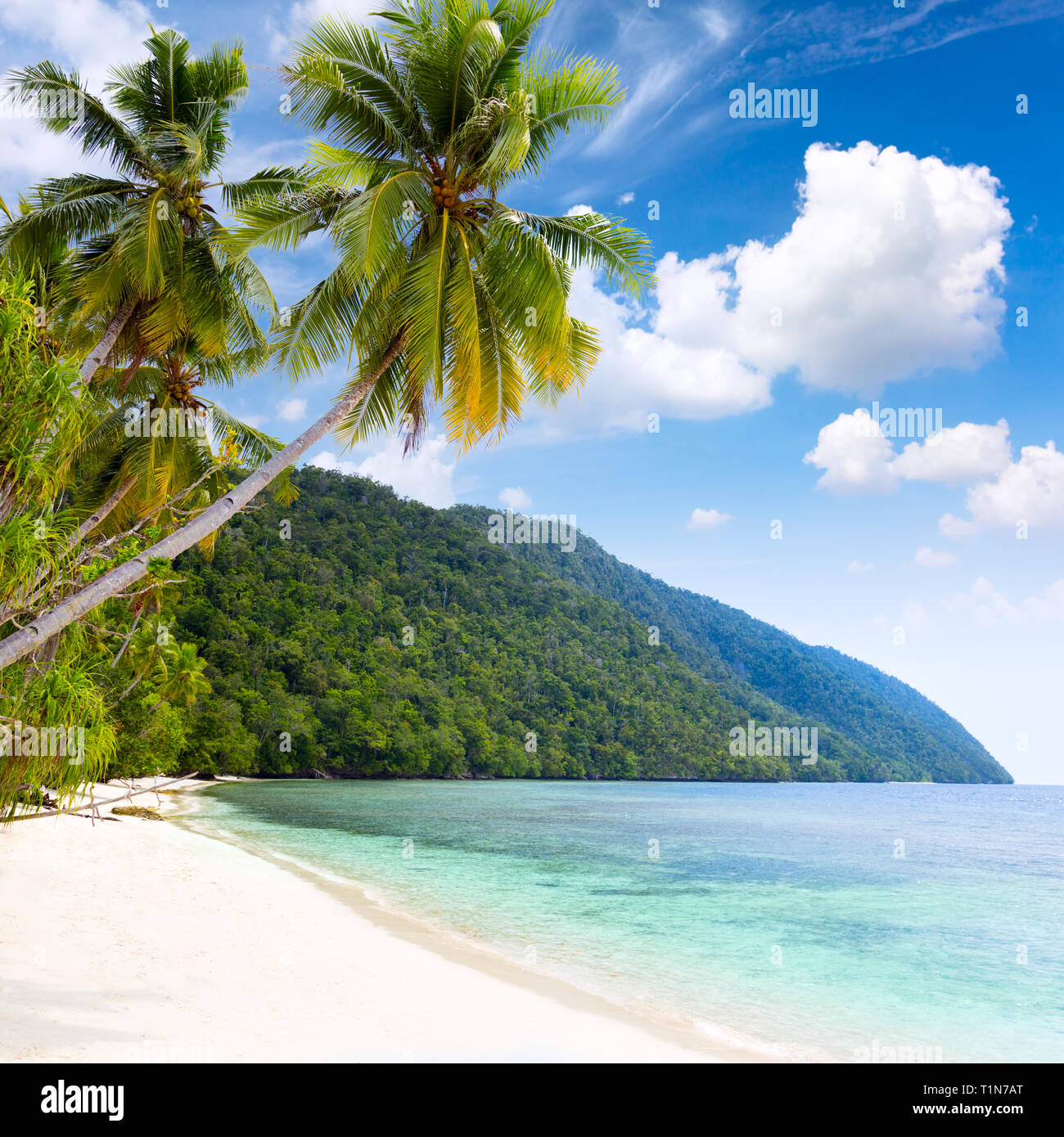 Paesaggio Idillyc di Tropical Island Beach - mare caldo, palme, cielo blu e nuvole bianche - Isola di area Pasific Foto Stock