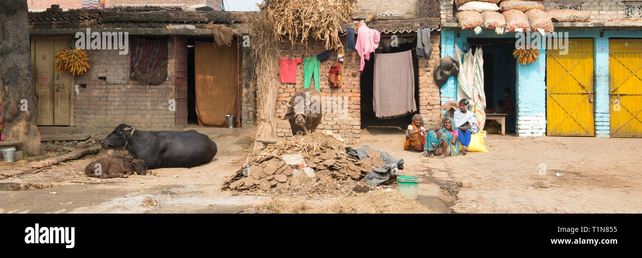 RAJMAHAL, Bihar, in India-dicembre 01-2015, un gruppo di donne sedute davanti alle loro case a guardare il traffico che passa dal. Foto Stock