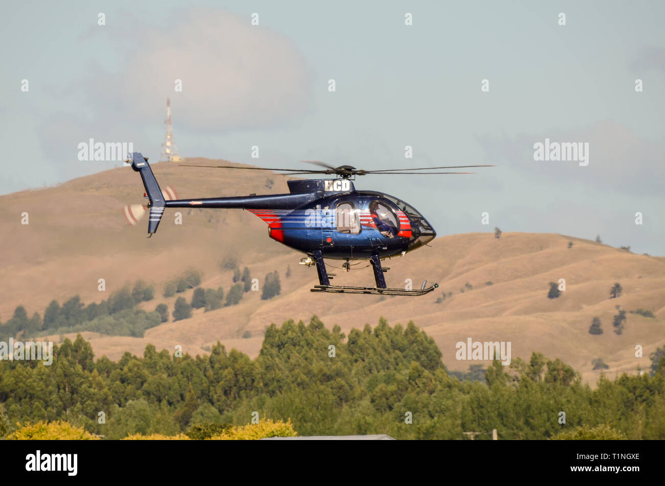 Fiordland elicotteri Hughes 369E elicottero in Wairarapa, Nuova Zelanda. Bush battenti, offrono anche la linea lungo le operazioni di sollevamento e voli panoramici Foto Stock