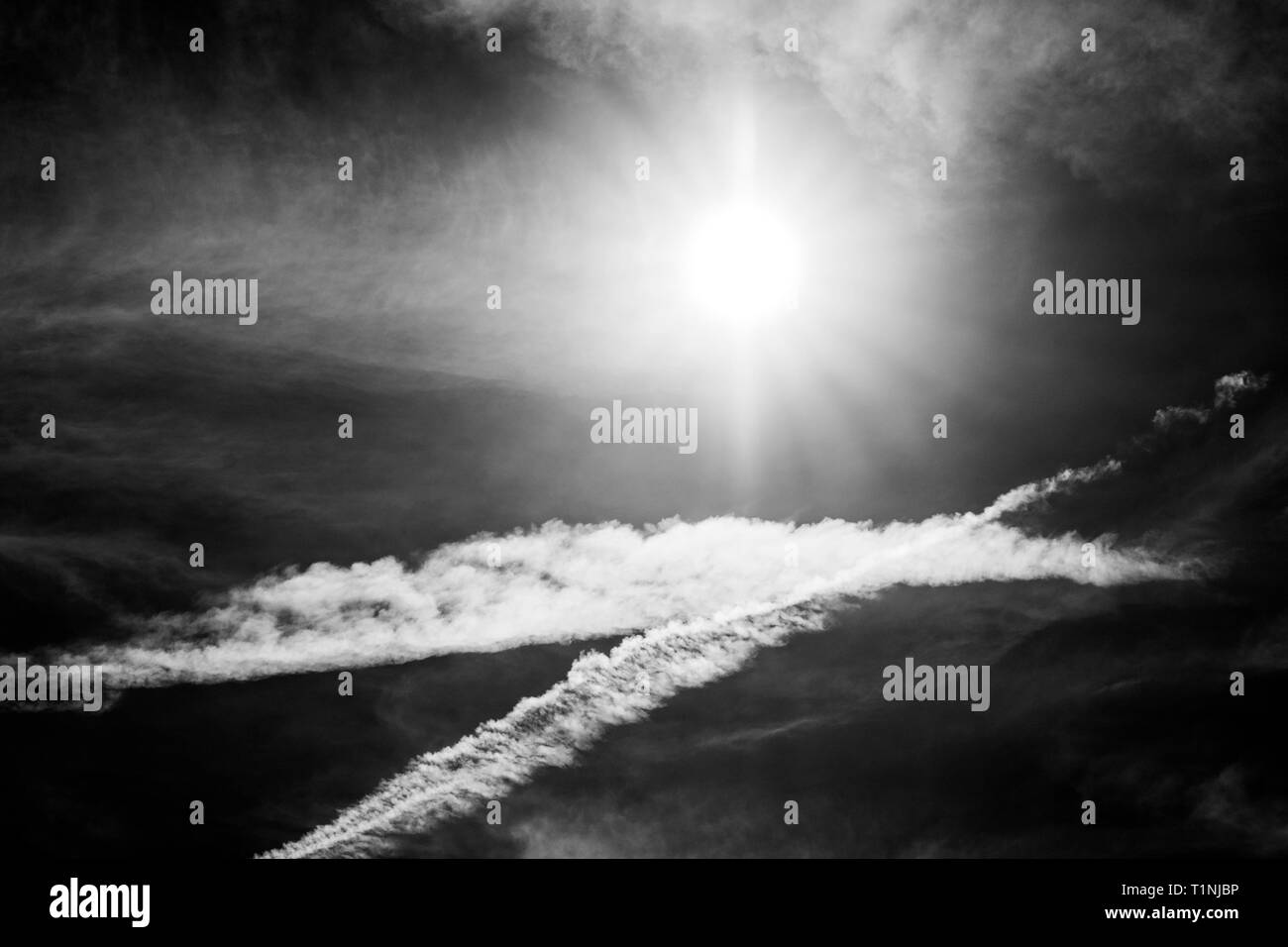 Bianco & Nero vista del jet contrails creano modelli contro il cielo blu cobalto & sun; central Colorado; USA Foto Stock