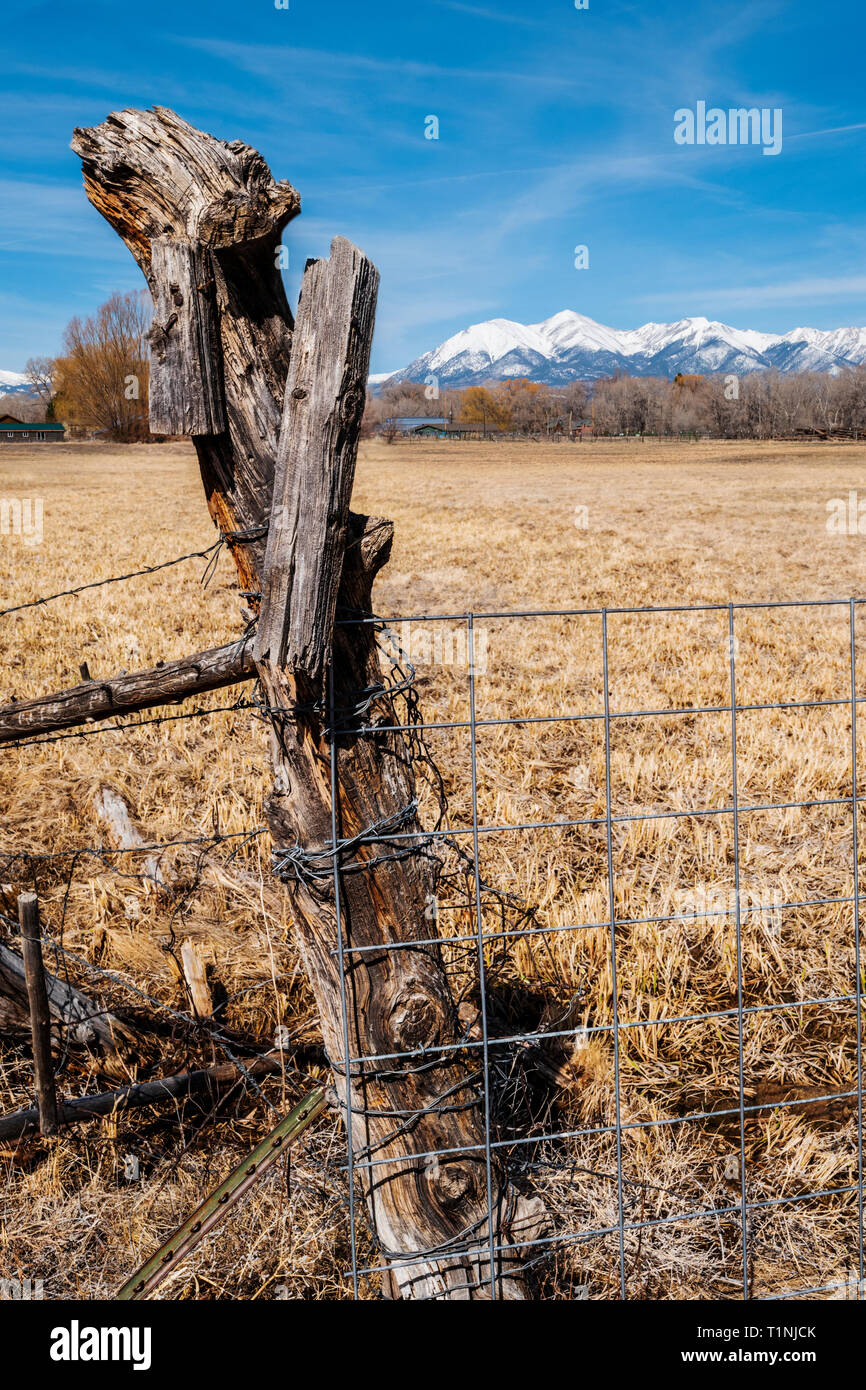 Close-up di filo spinato & weathered staccionata in legno post; Ranch in Colorado centrale; USA Foto Stock