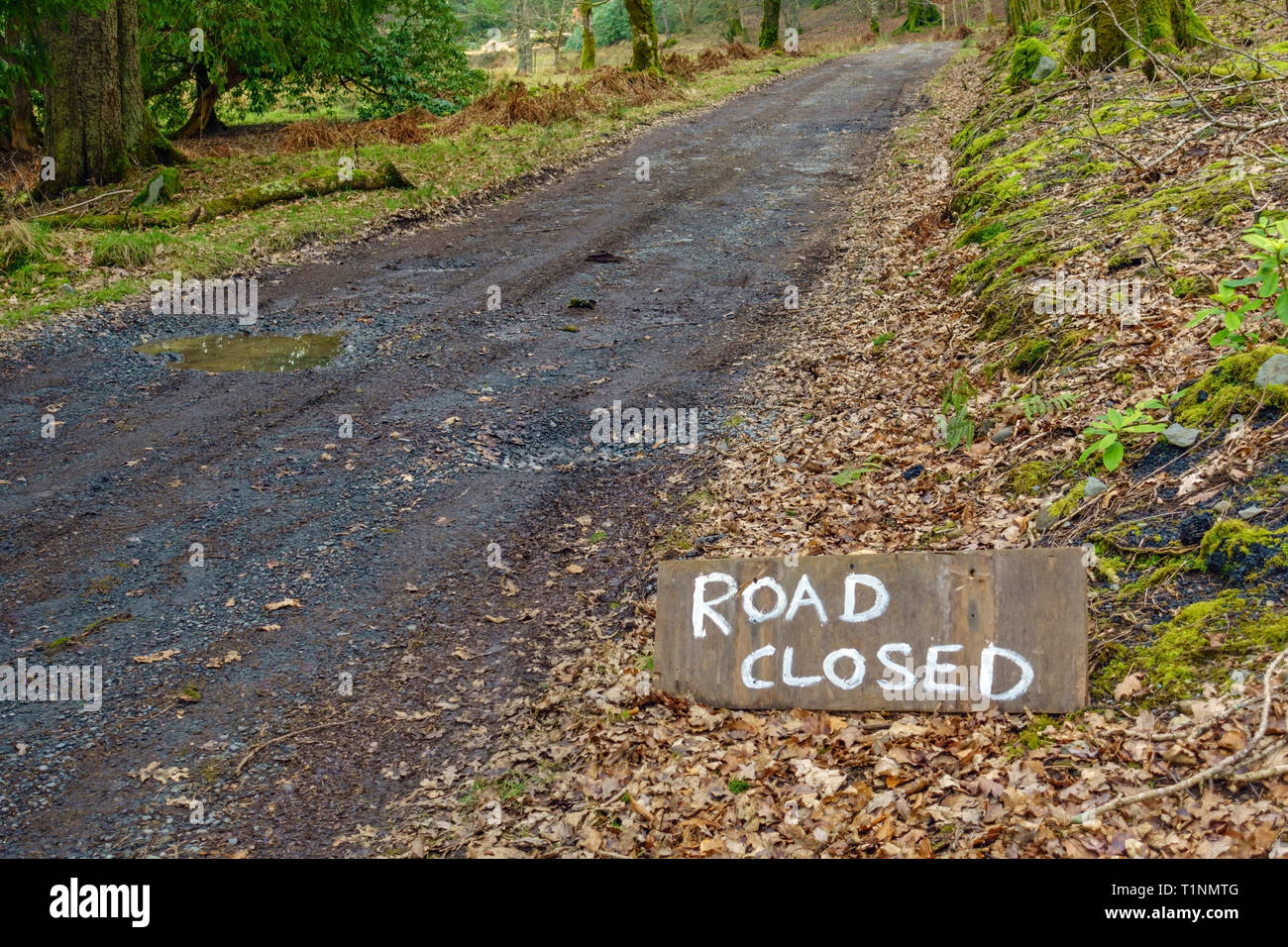 Strada chiusa segno su strette strade di campagna in Scozia Foto Stock