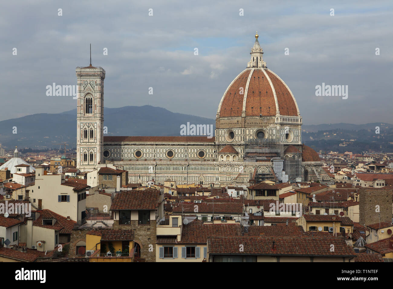 Cattedrale di Firenze (Duomo di Firenze) e il Campanile di Giotto (Campanile di Giotto) in aumento oltre i tetti di tegole del centro cittadino di Firenze nella foto dalla terrazza sul tetto del Palazzo Vecchio a Firenze, Toscana, Italia. Foto Stock