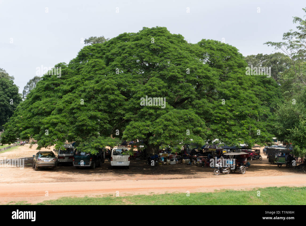 Siem Reap, Cambogia - 21.07.2018: mercanti, autisti di tuk tuk e tour operator riposa all'ombra fornita da un gigantesco baldacchino a Angkor Wat in Si Foto Stock