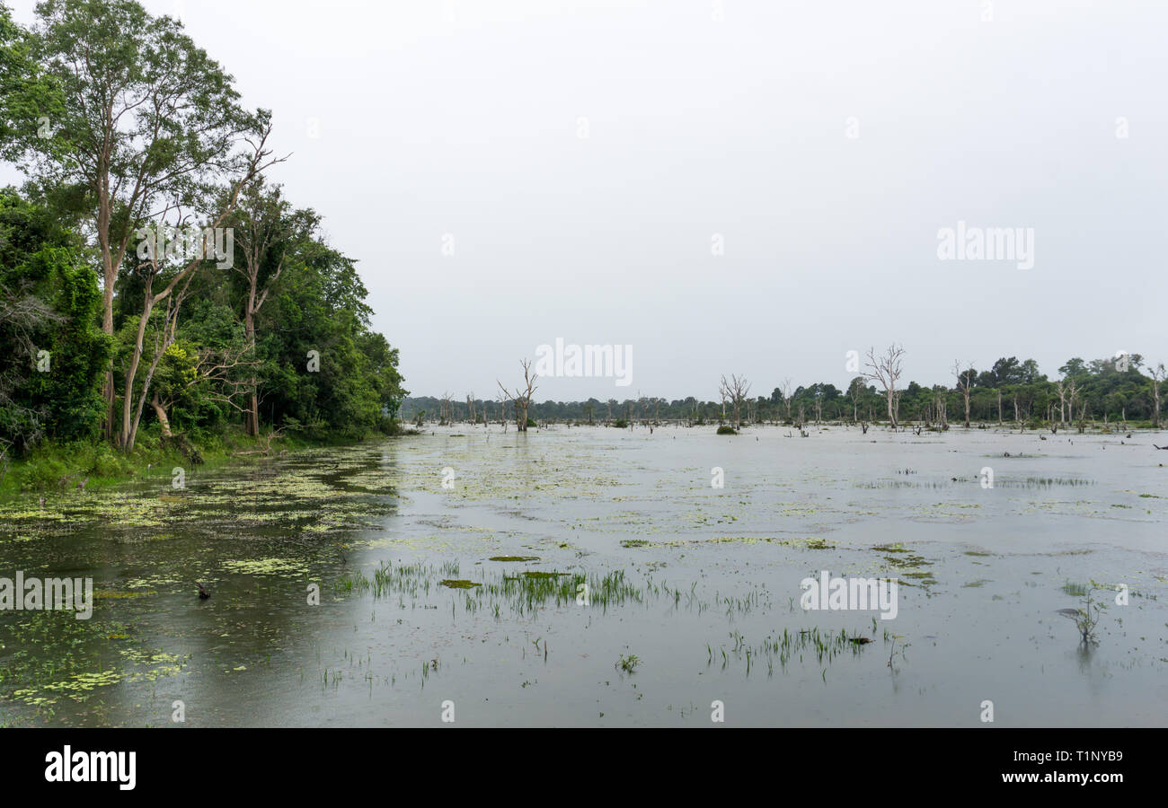 Il più grande bacino artificiale di Angkor, antica capitale del Regno Khmer Foto Stock
