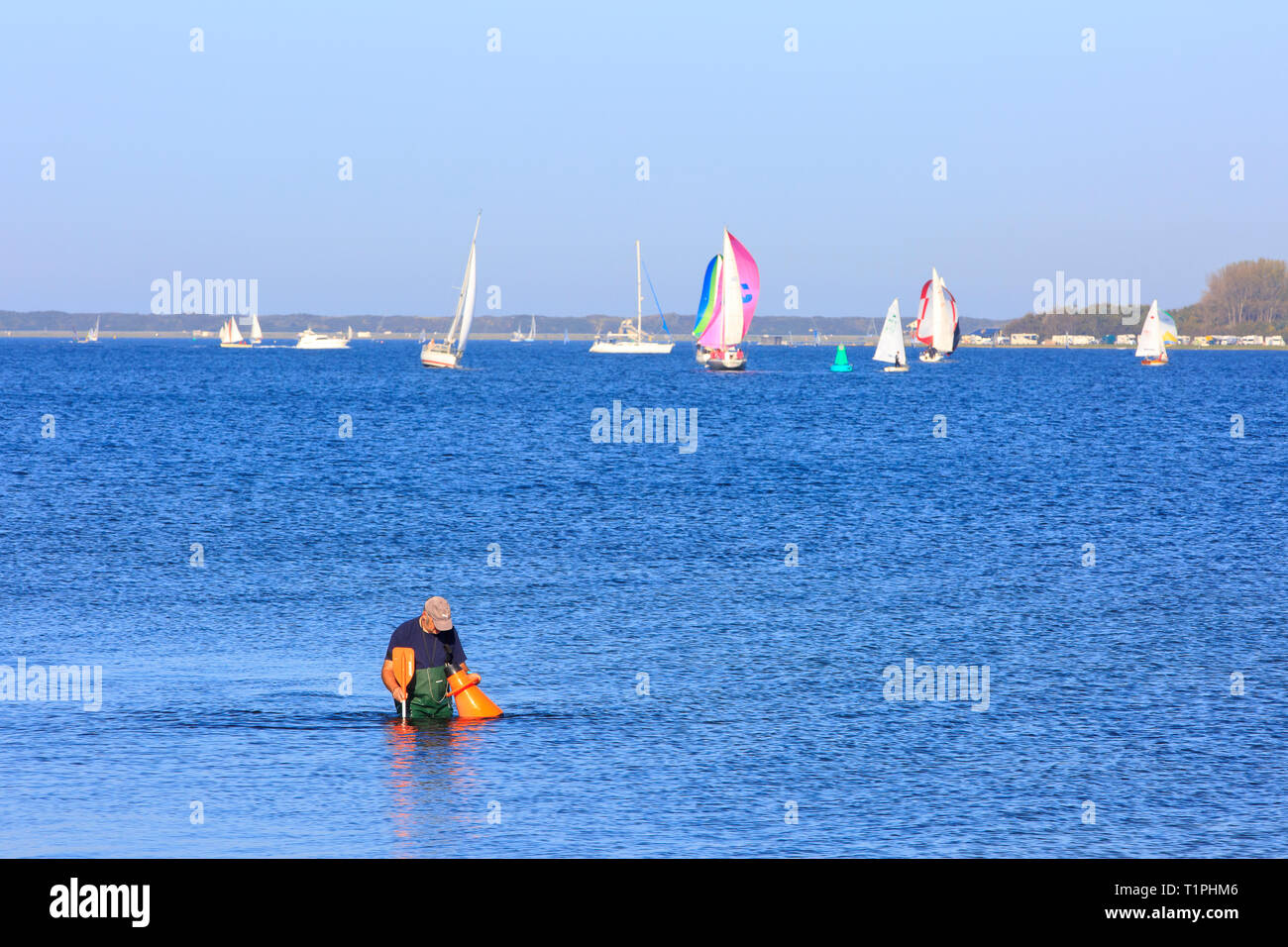 Un pescatore di pesca di granchi durante una corsa in barca al Veerse Meer in Zeeland, Paesi Bassi Foto Stock