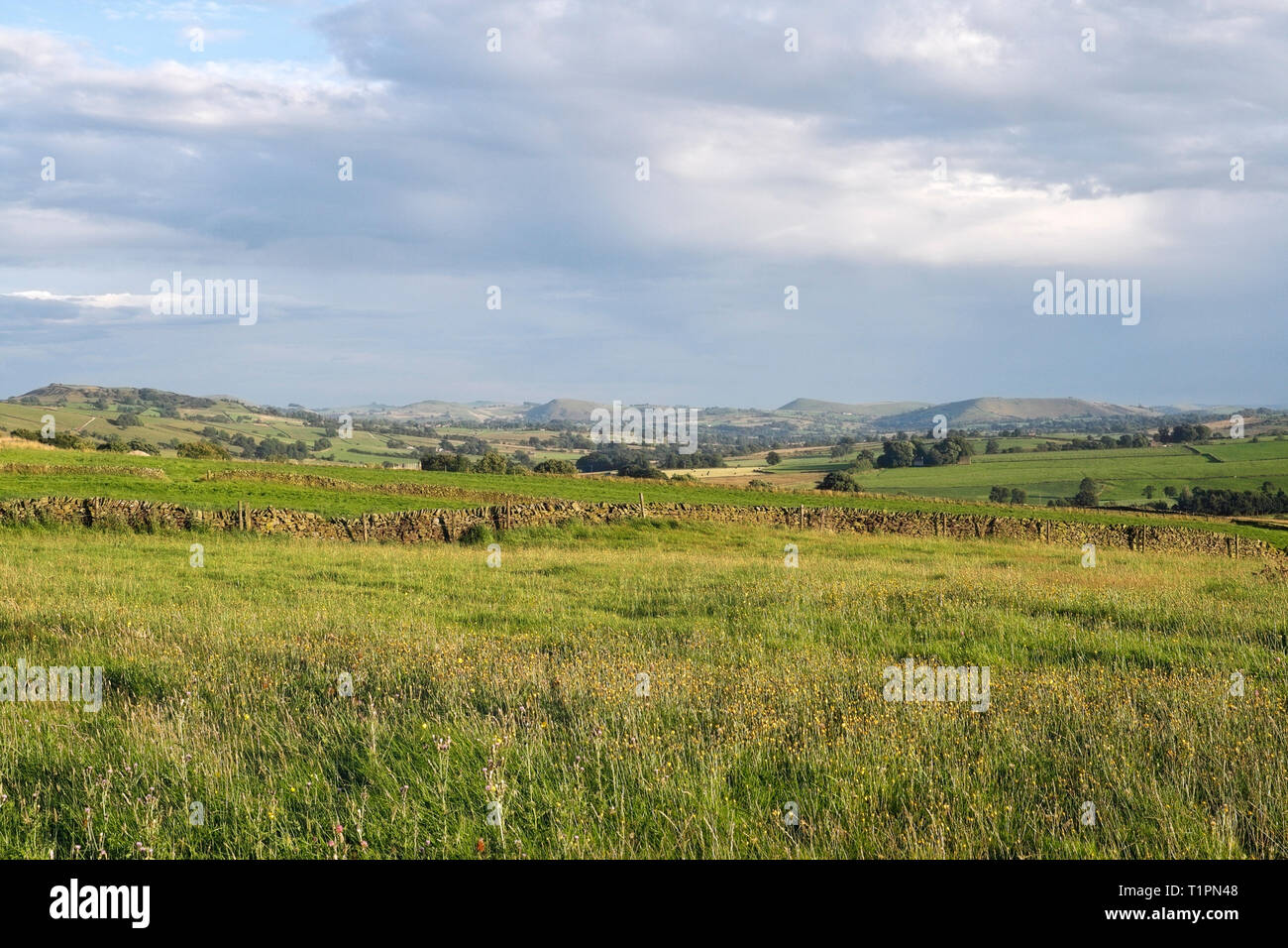 Paesaggio dello Staffordshire Peak District National Park, Inghilterra, Regno Unito. Campagna inglese terreni agricoli pascoli agricoli Foto Stock