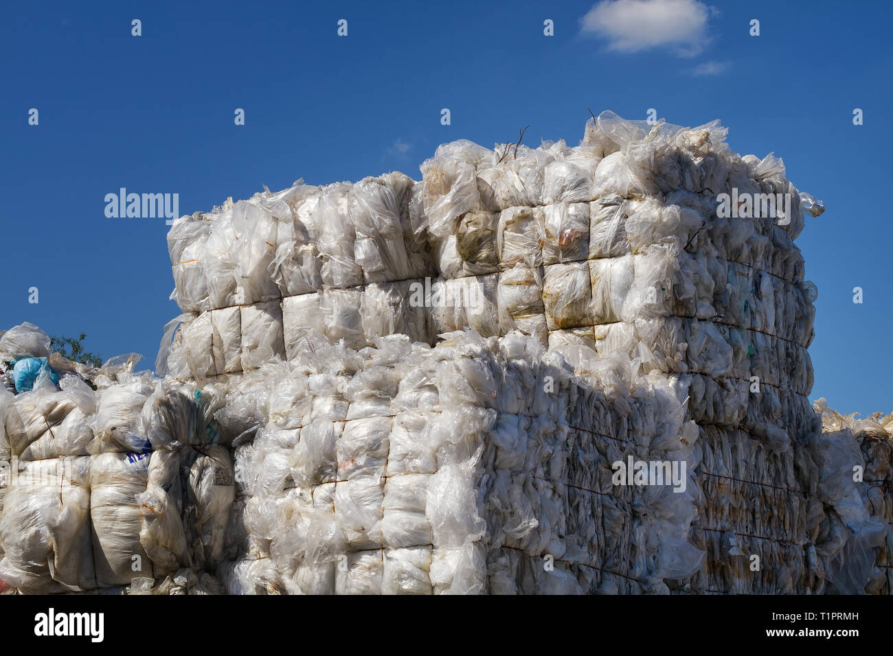 Materiale per il sacchetto in plastica riciclaggio Foto Stock