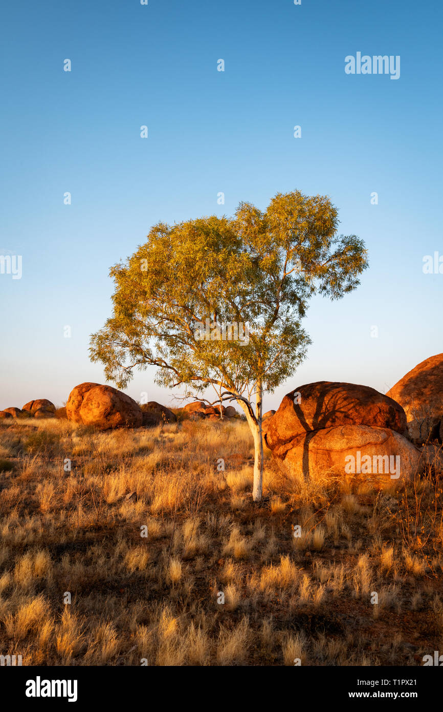 Famoso masso di granito di diavoli marmi a Stuart Highway. Foto Stock