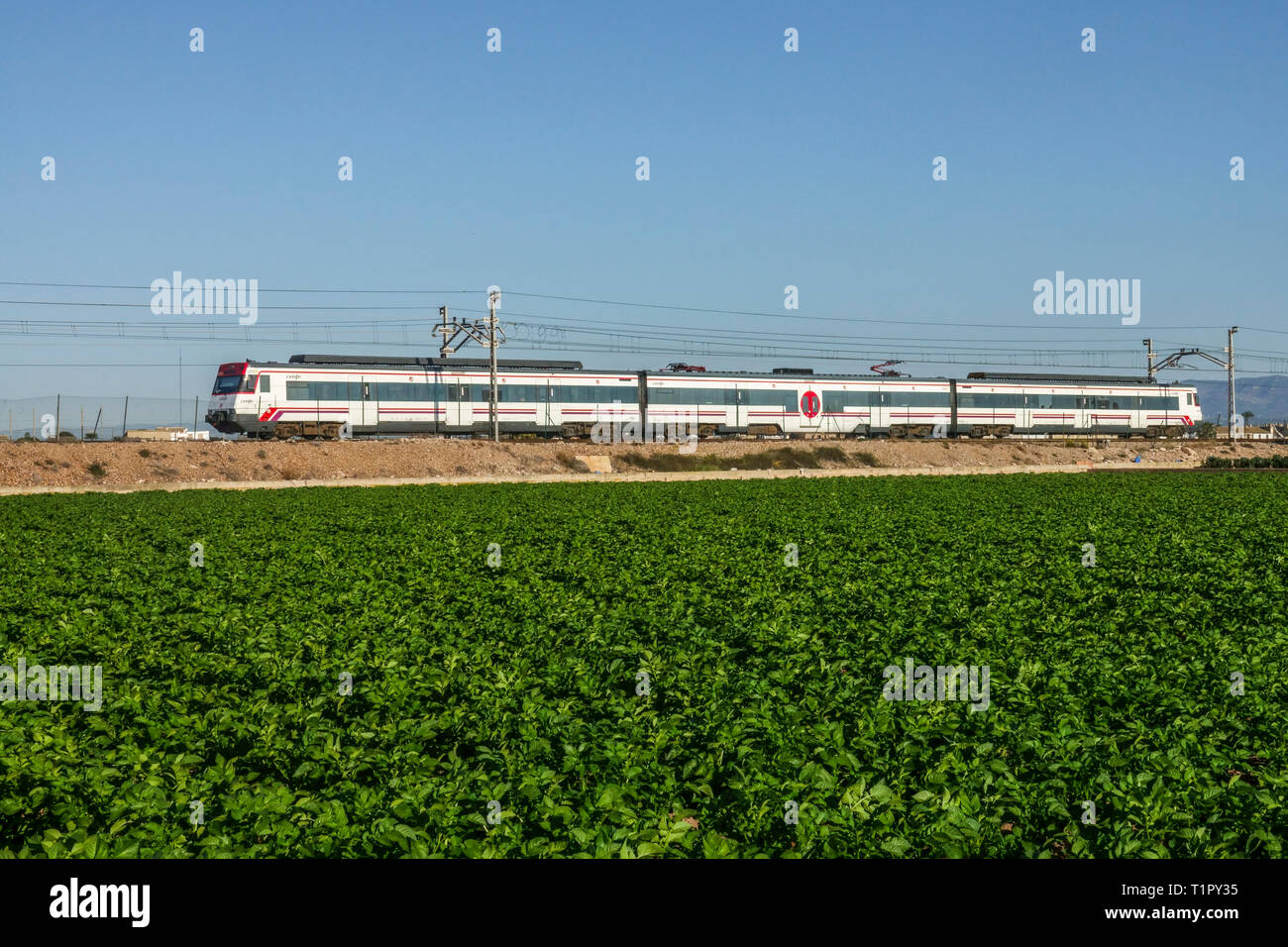 Cercanias - un treno che passa attraverso un paesaggio agricolo con un campo di patate, Valencia Spagna treno pendolari Foto Stock