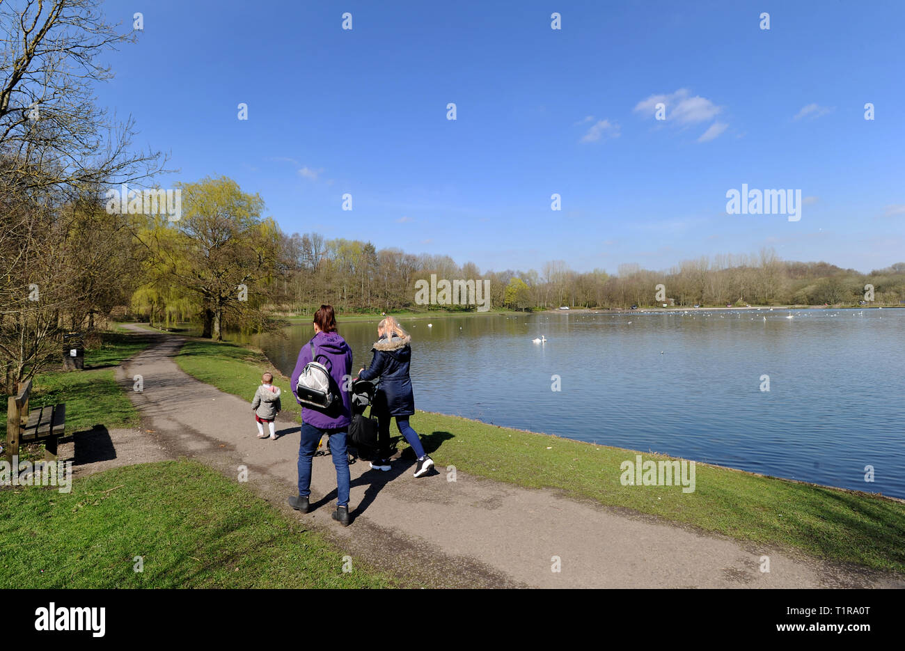 Bolton, Lancashire. 28 mar 2019. Regno Unito Meteo: Mosè Paese Gate Park a Bolton, Lancashire inondate di splendido sole su un bel pomeriggio di primavera. La corsa di bel tempo questa settimana dovrebbe durare fino alla fine settimana quando una banda di bassa pressione porterà raffreddatore, wetter meteo per il Nord-ovest dell'Inghilterra. Walkers passare uno dei rifugi perfetti sotto i cieli blu. Foto di credito: Paolo Heyes/Alamy Live News Foto Stock