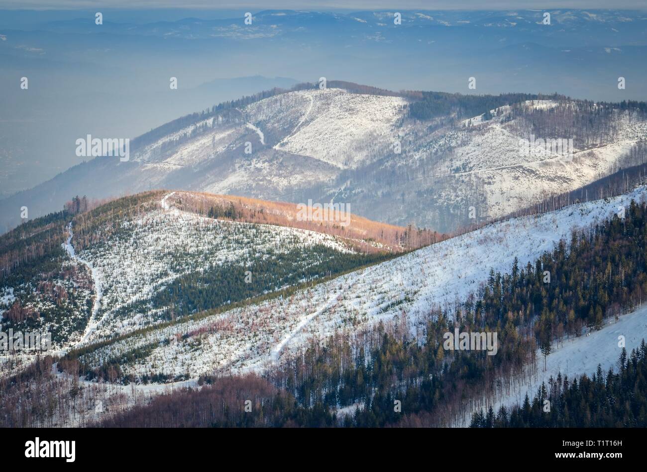 Bella favola invernale paesaggio. Snow capped alberi e piste in montagne polacche. Foto Stock