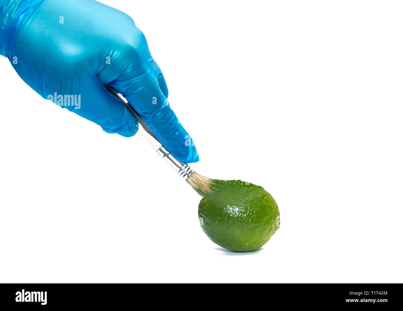 Lime colore genetico la manipolazione degli alimenti geneticamente modificati. Ingegneria genetica Foto Stock