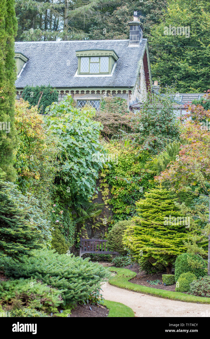Il giardino segreto mostra dei suoi tesori Foto Stock
