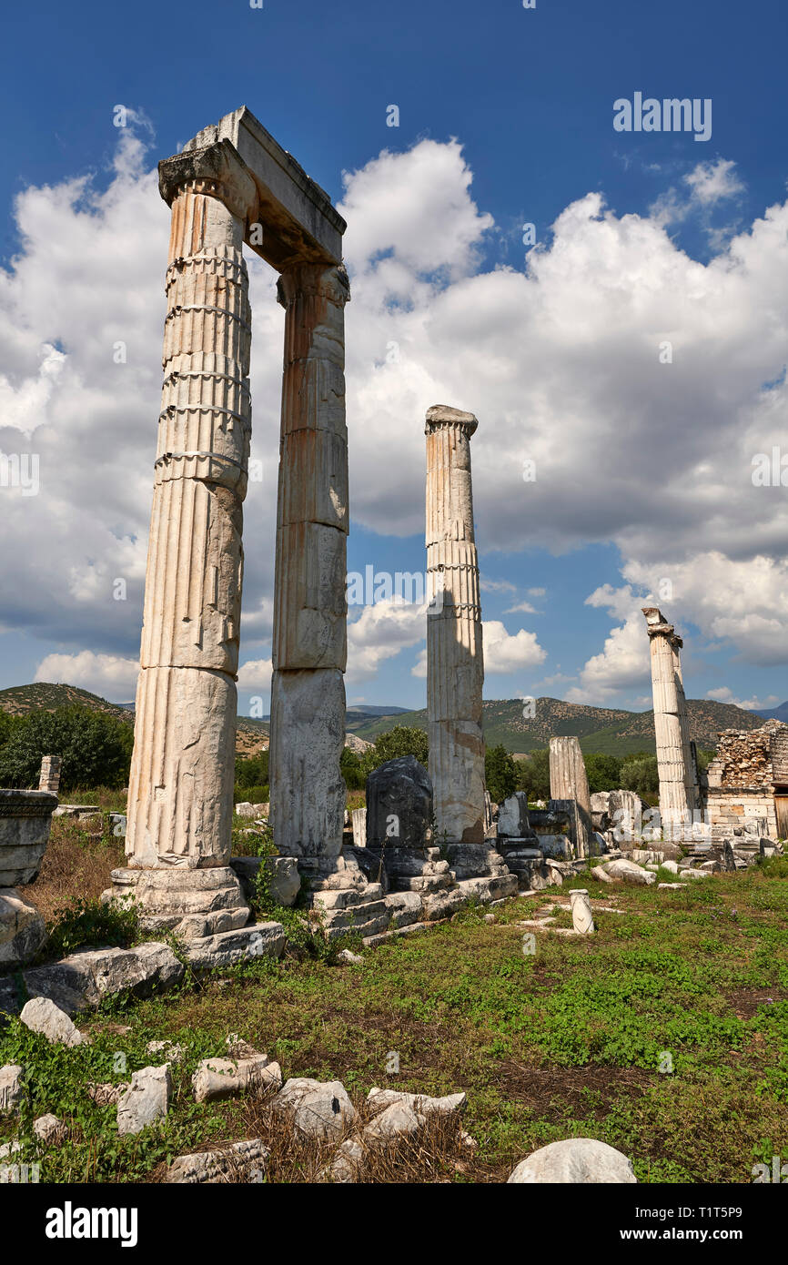 Le colonne del Tempio di Afrodite al centro di Aphrodisias sito archeologico, Turchia Foto Stock