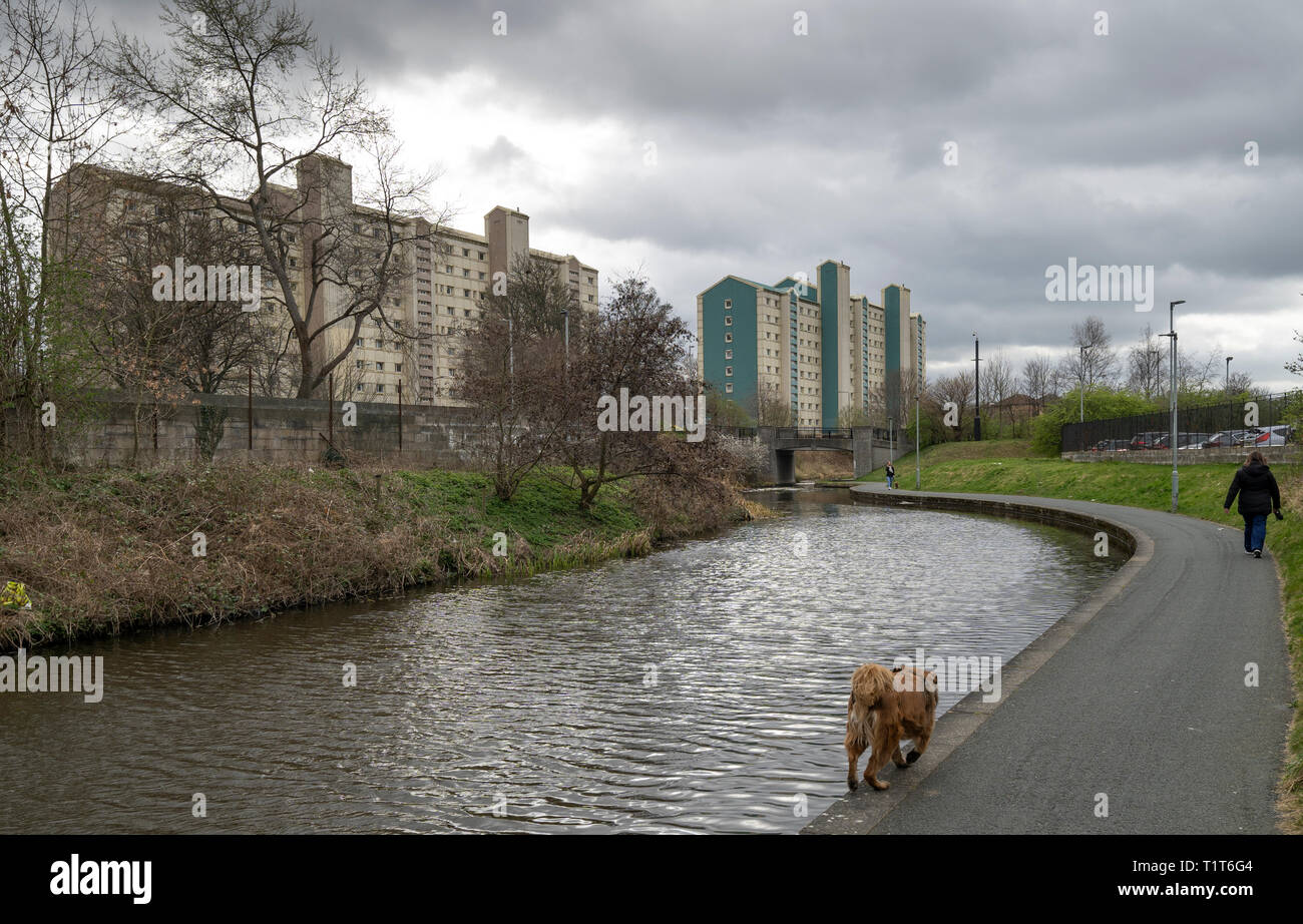 Elevato aumento blocchi di appartamenti accanto a La Union Canal in Wester Hailes, Edimburgo, Scozia, Regno Unito Foto Stock