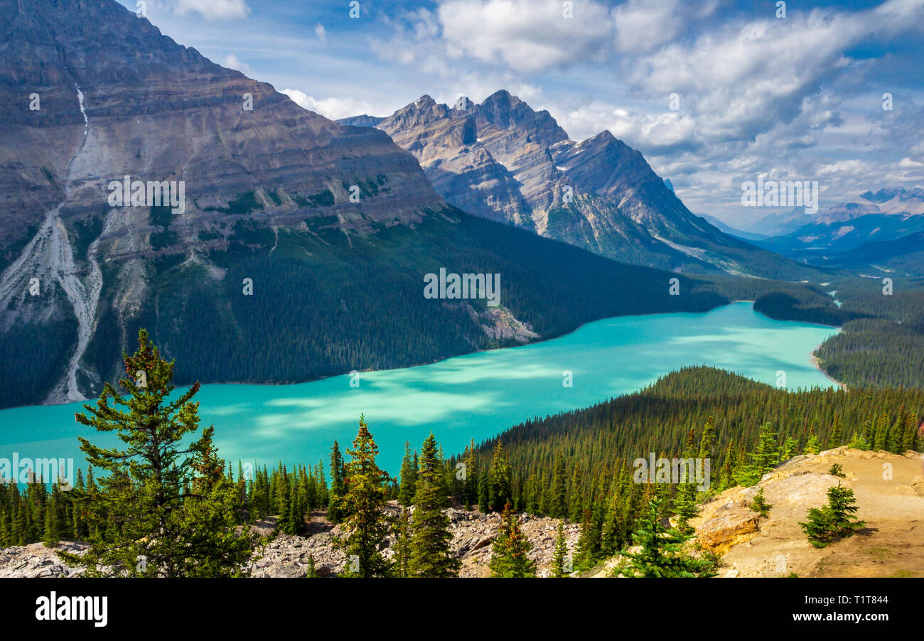 Peyto Lake British Columbia Canada. Colore turchese Foto Stock