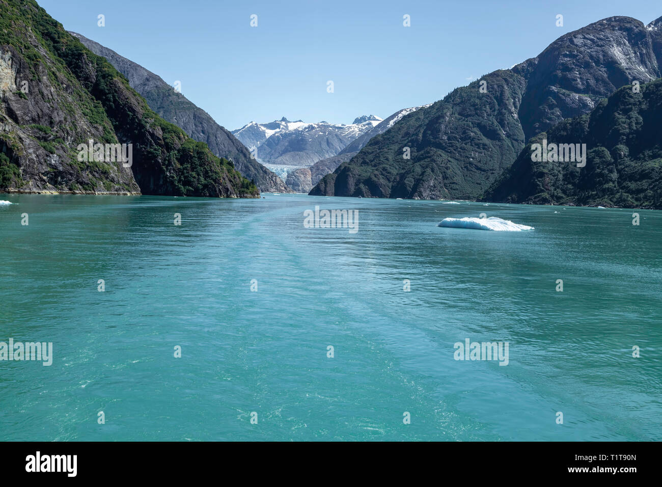 Tracy Arm Fjord e Sawyer Glacier, Alaska Foto Stock