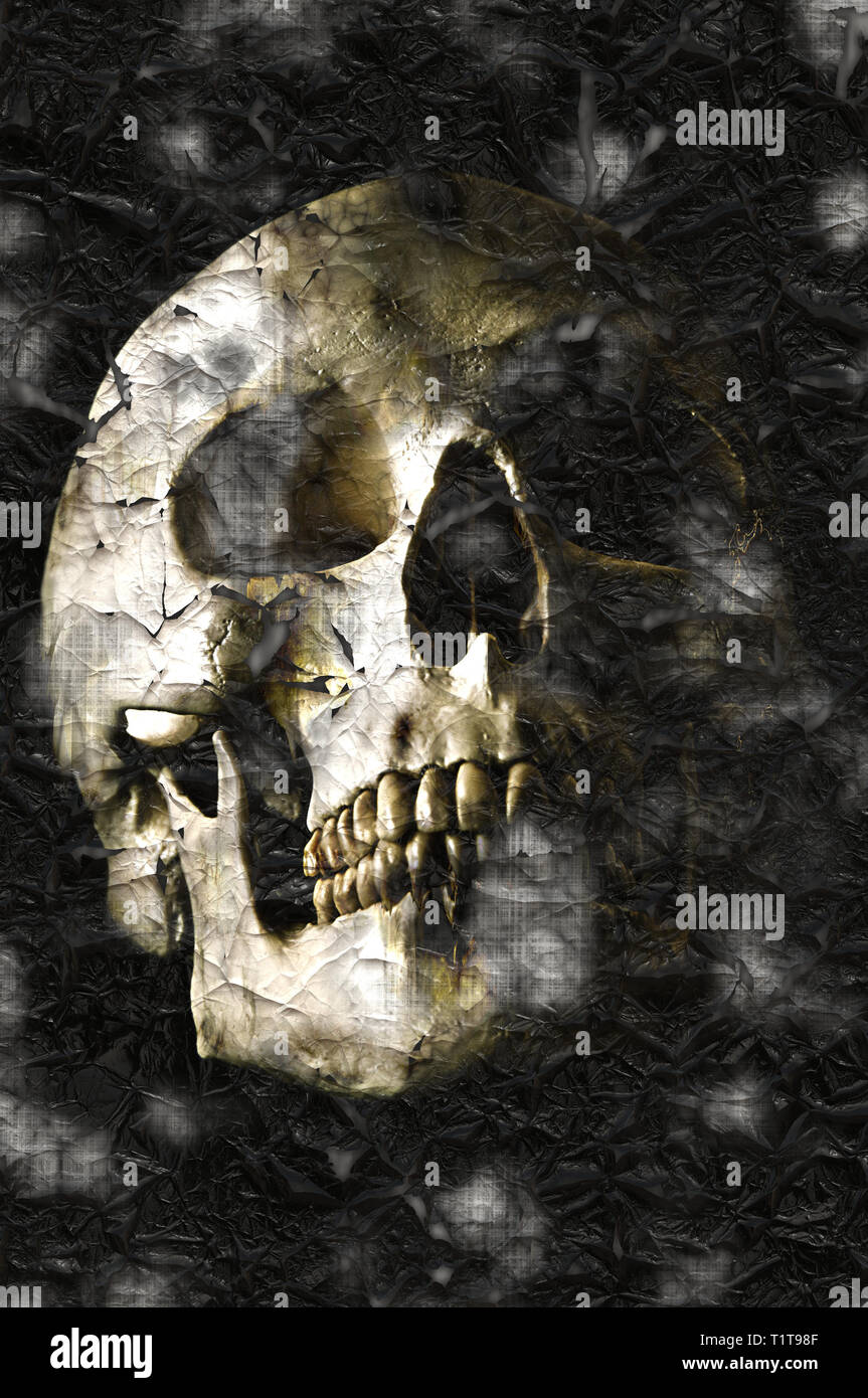 Cranio umano con un effetto artistico Foto Stock