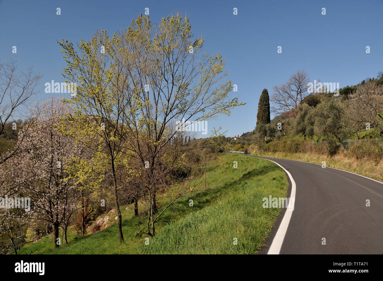 Strada di Montagna in primavera Toscana. Foto Stock