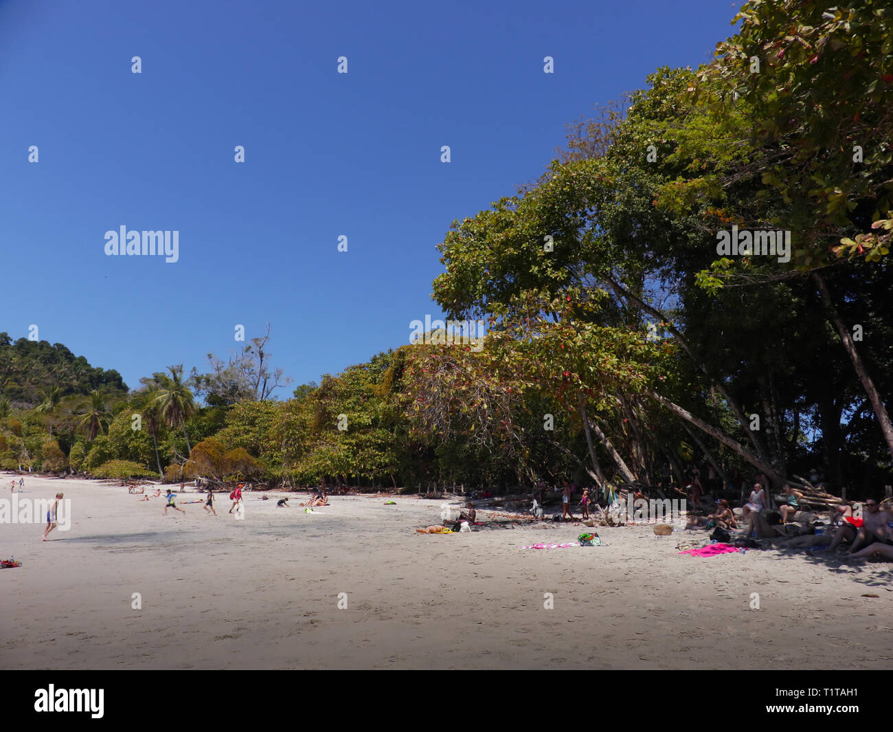 Spiaggia al Parco Nazionale di Manuel Antonio, Costa Rica Foto Stock